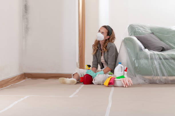 Reliable Commercial Mold Remediation contractor in Ephrata, WA by 24 Hour Mold Removal